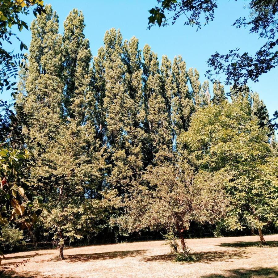Domaine De La Clef Des Champs * Limeray
