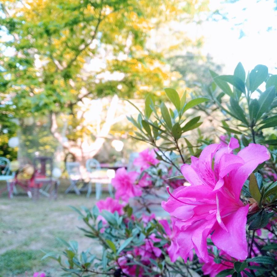 Domaine De La Clef Des Champs Bed & Breakfast